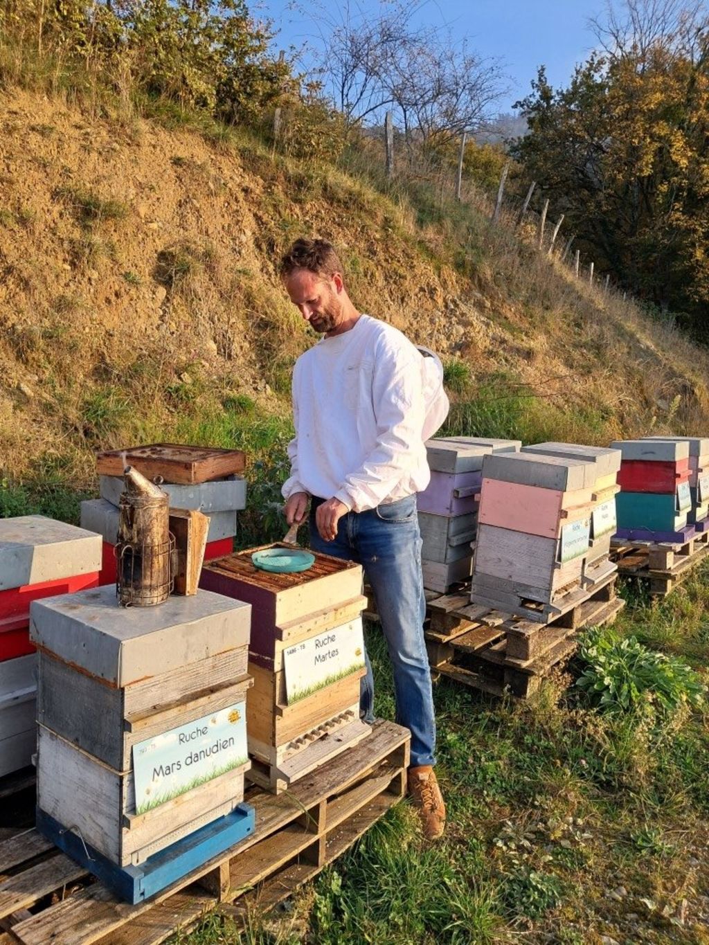 La ruche Mars danudien