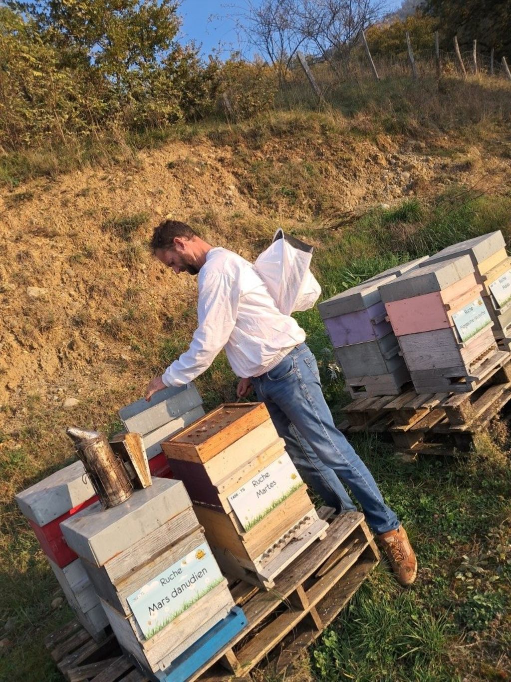 La ruche Mars danudien