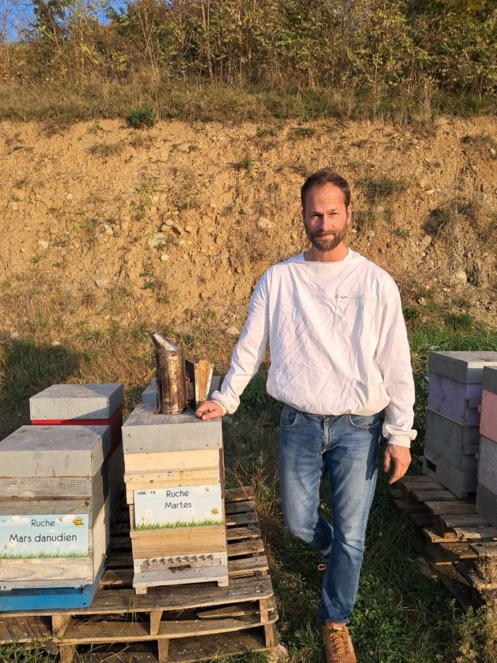 La ruche Mars danudien