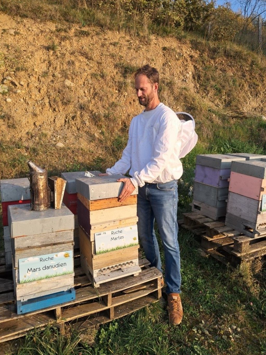 La ruche Mars danudien