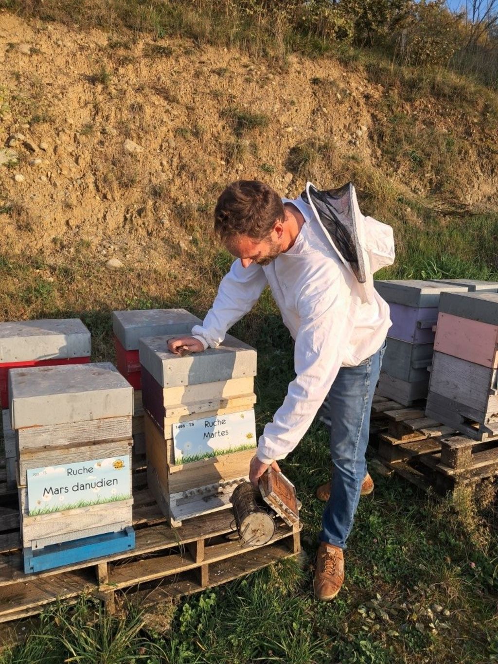 La ruche Mars danudien