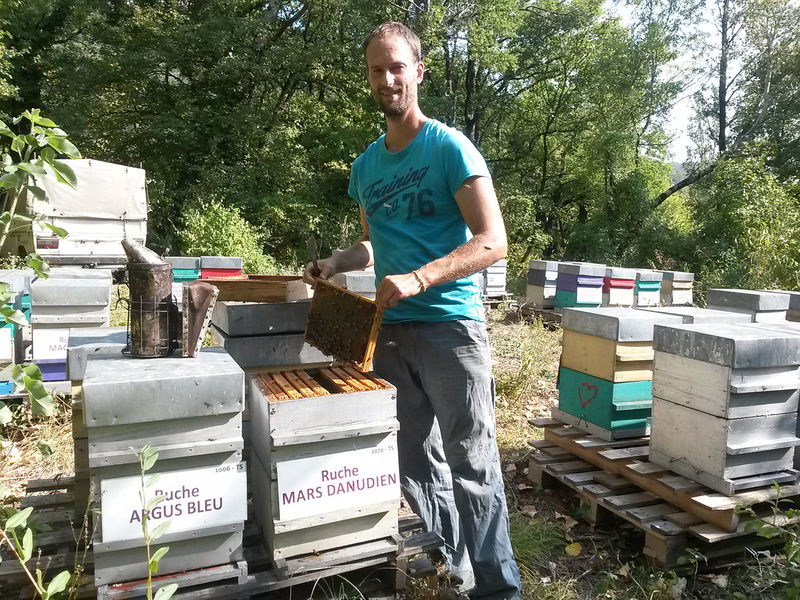 La ruche Mars danudien