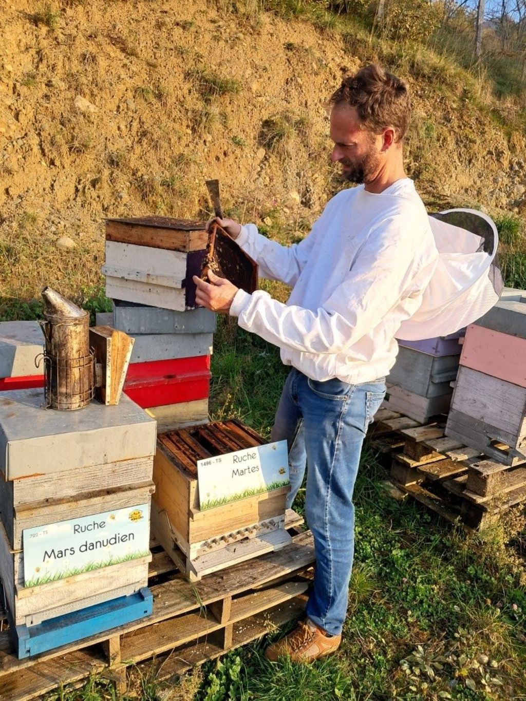 La ruche Mars danudien