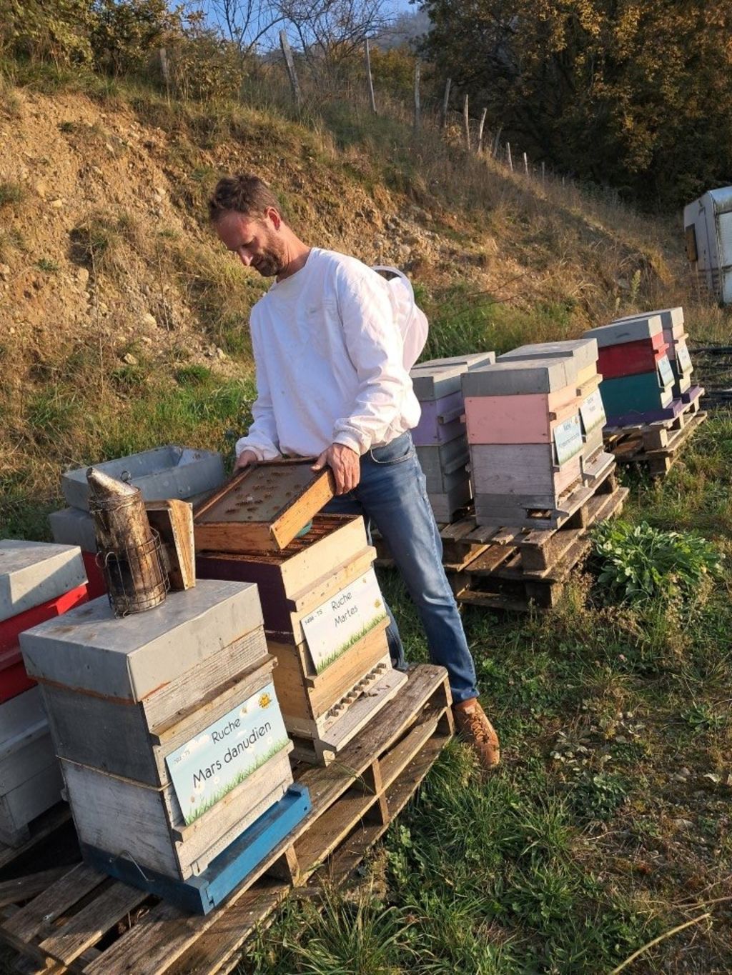 La ruche Mars danudien