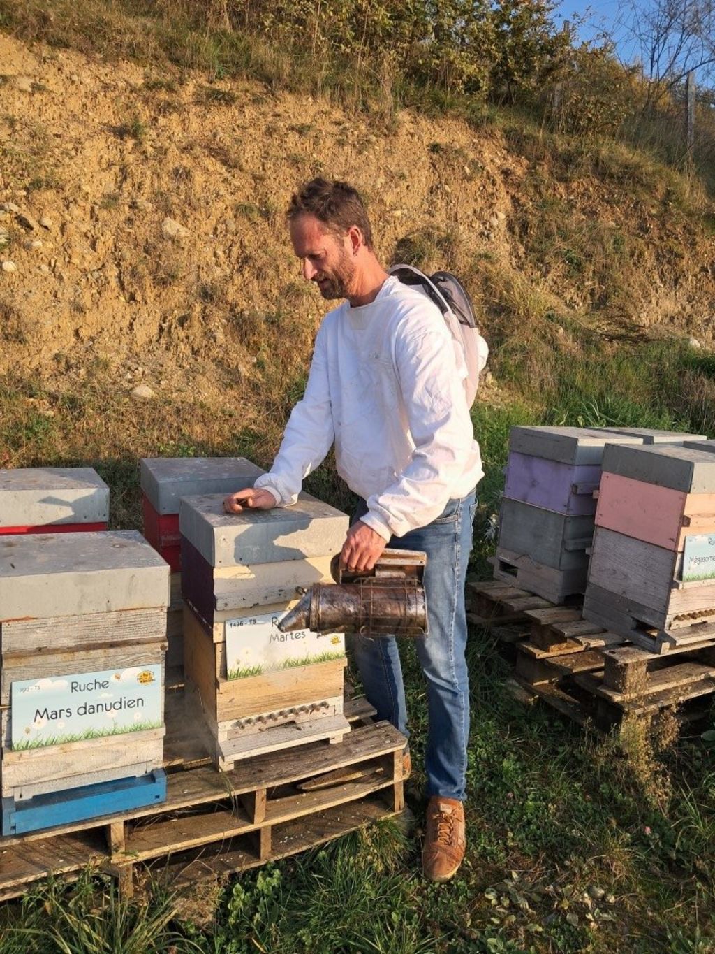 La ruche Mars danudien