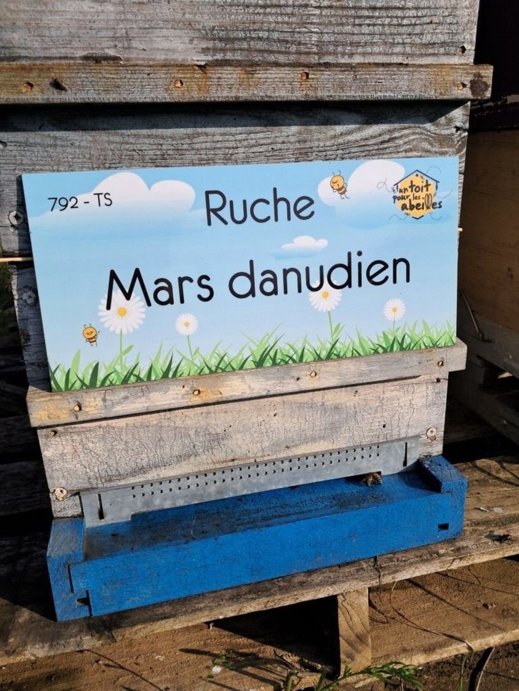 La ruche Mars danudien