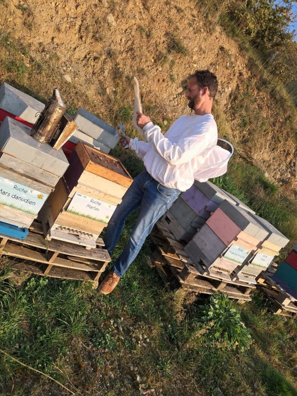 La ruche Mars danudien