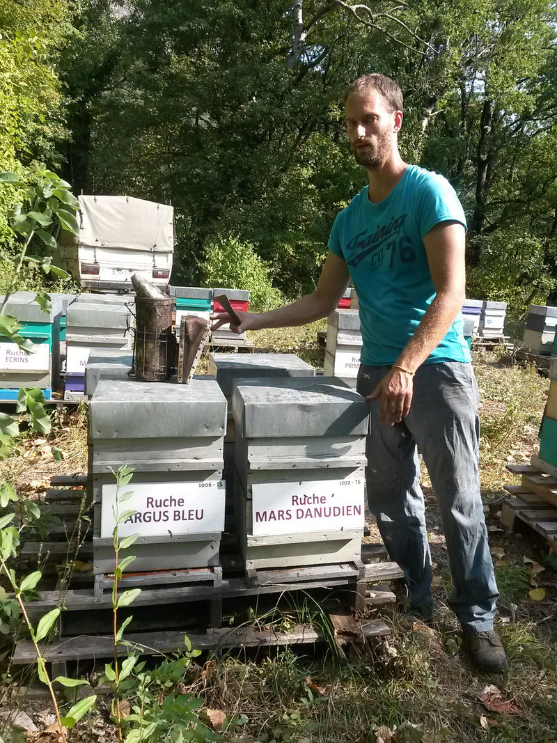 La ruche Mars danudien