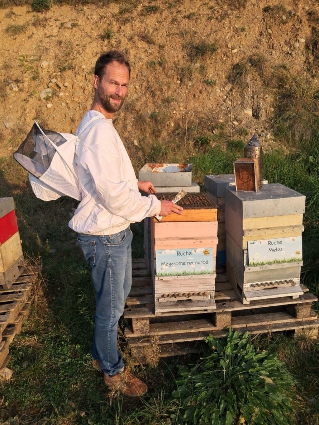 La ruche Mégasome recourbé