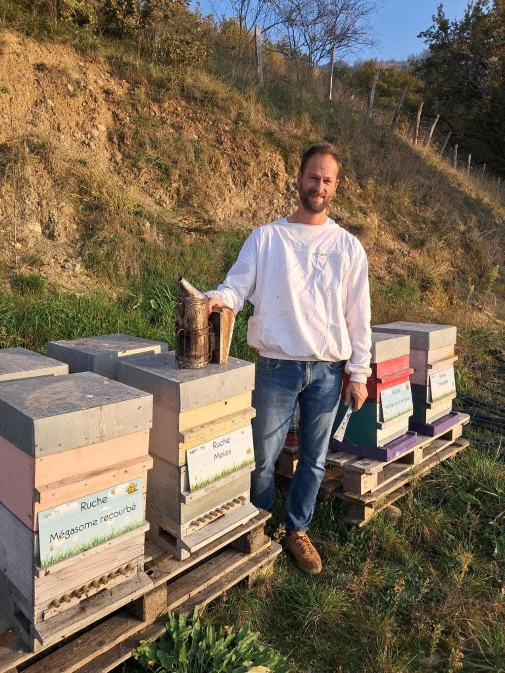 La ruche Mégasome recourbé