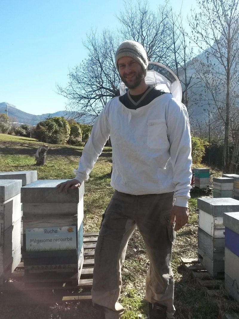 La ruche Mégasome recourbé