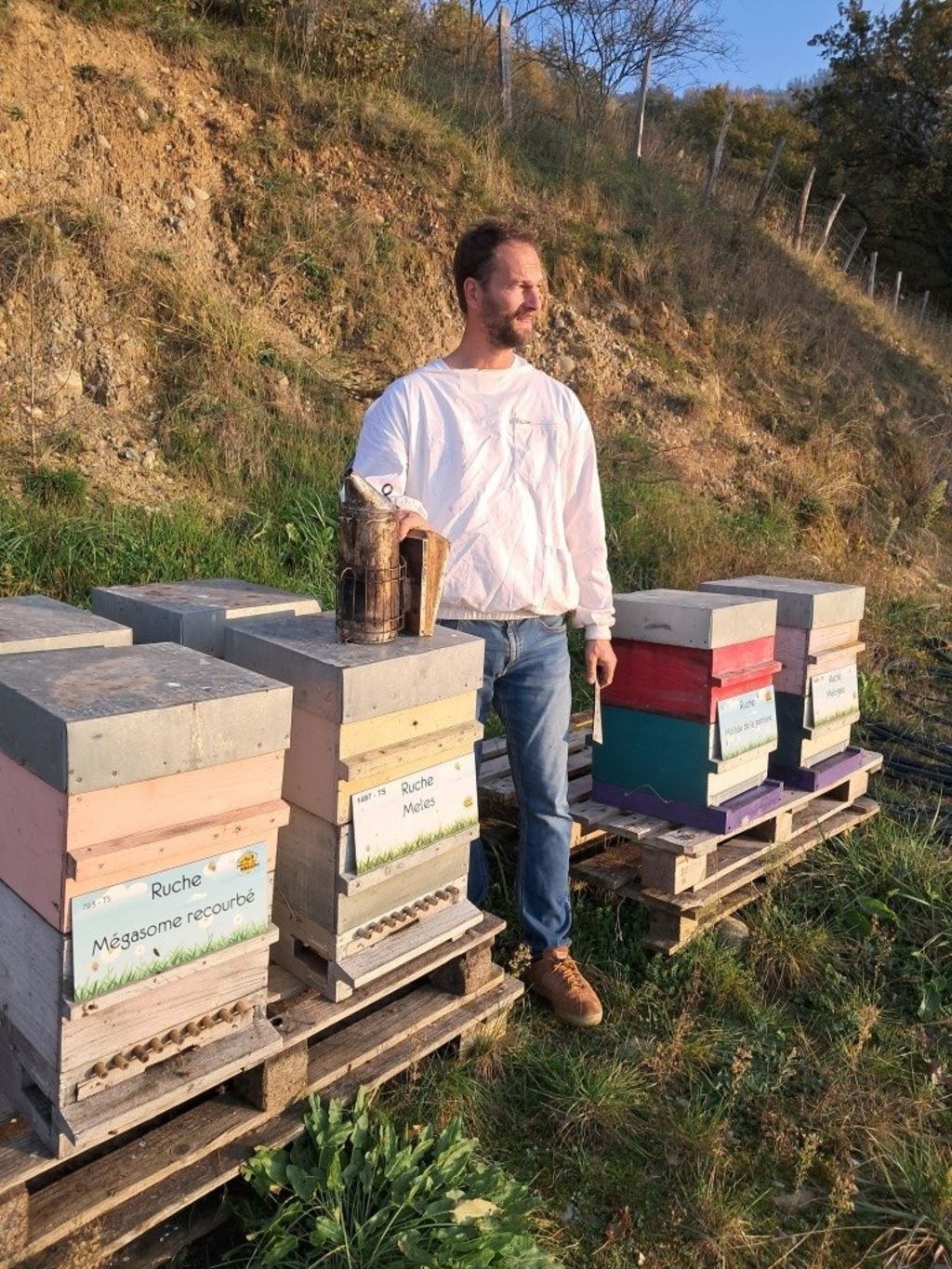 La ruche Mégasome recourbé