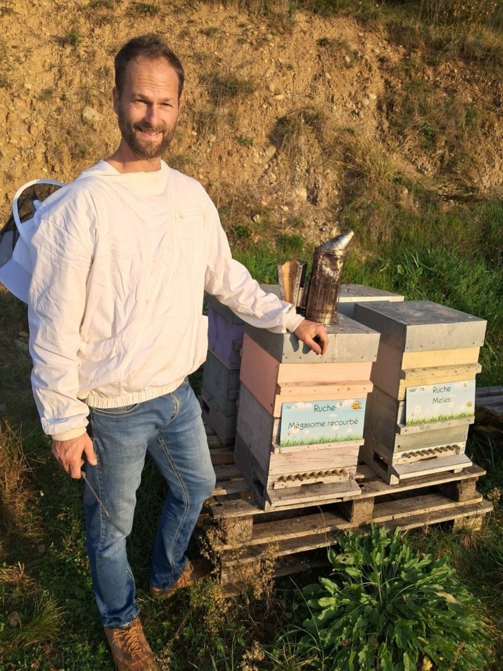 La ruche Mégasome recourbé