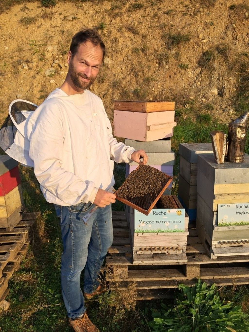 La ruche Mégasome recourbé