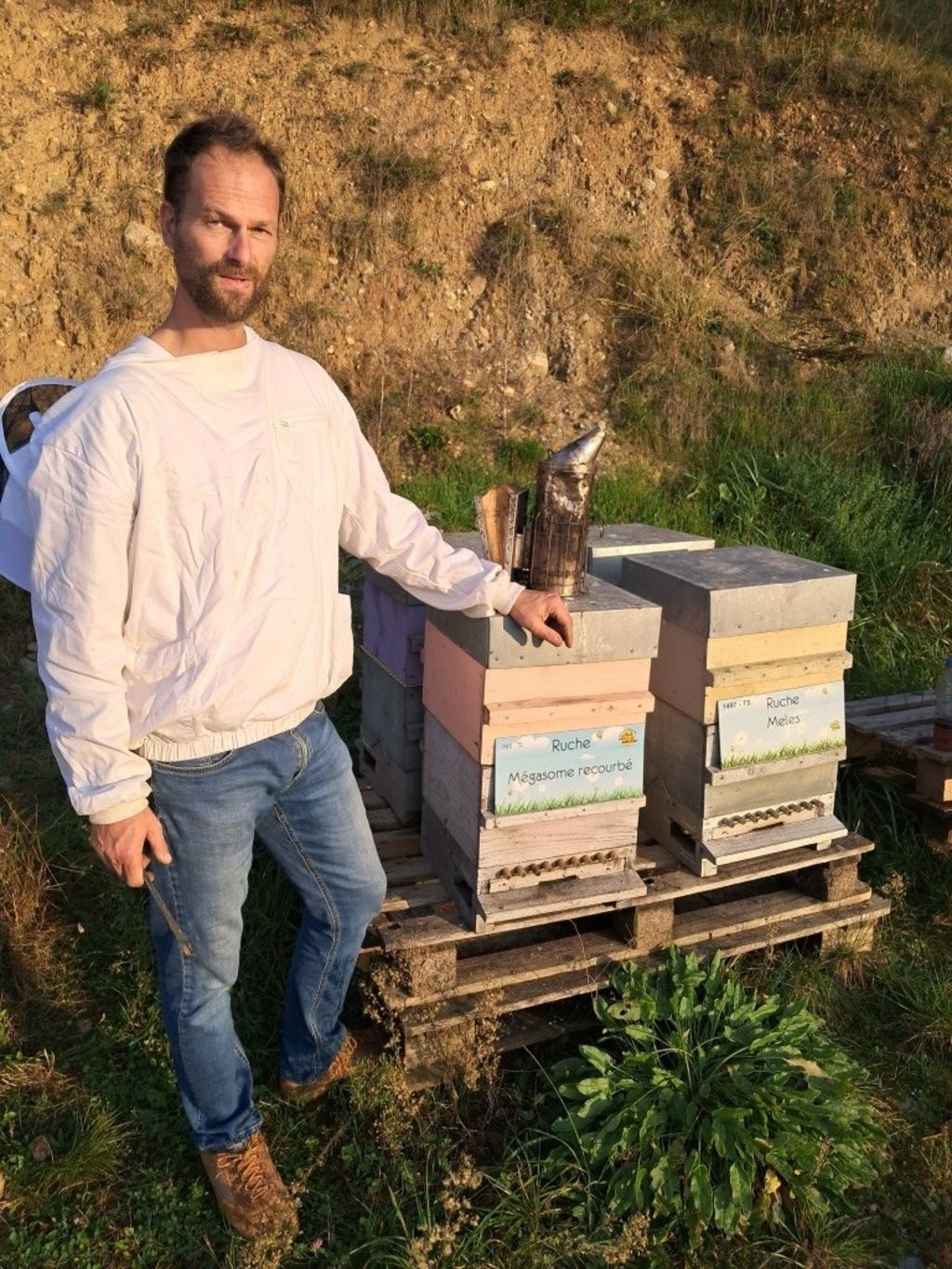 La ruche Mégasome recourbé
