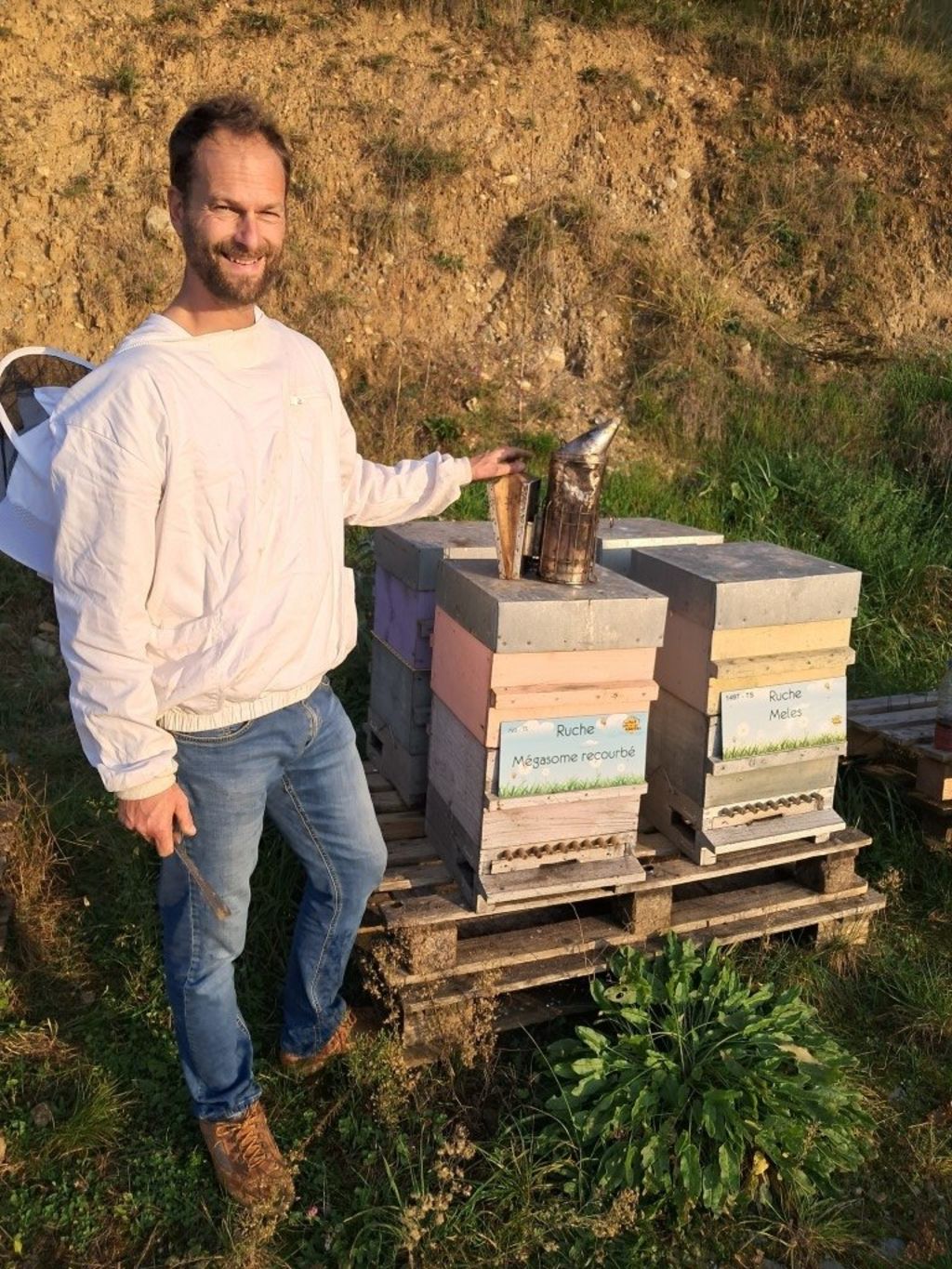 La ruche Mégasome recourbé