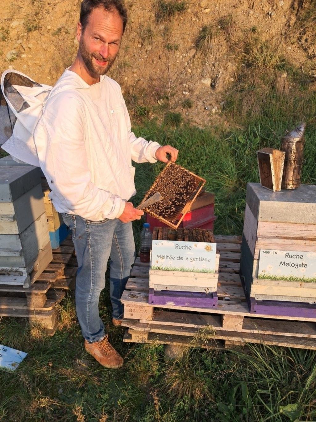 La ruche Mélitée de la gentiane