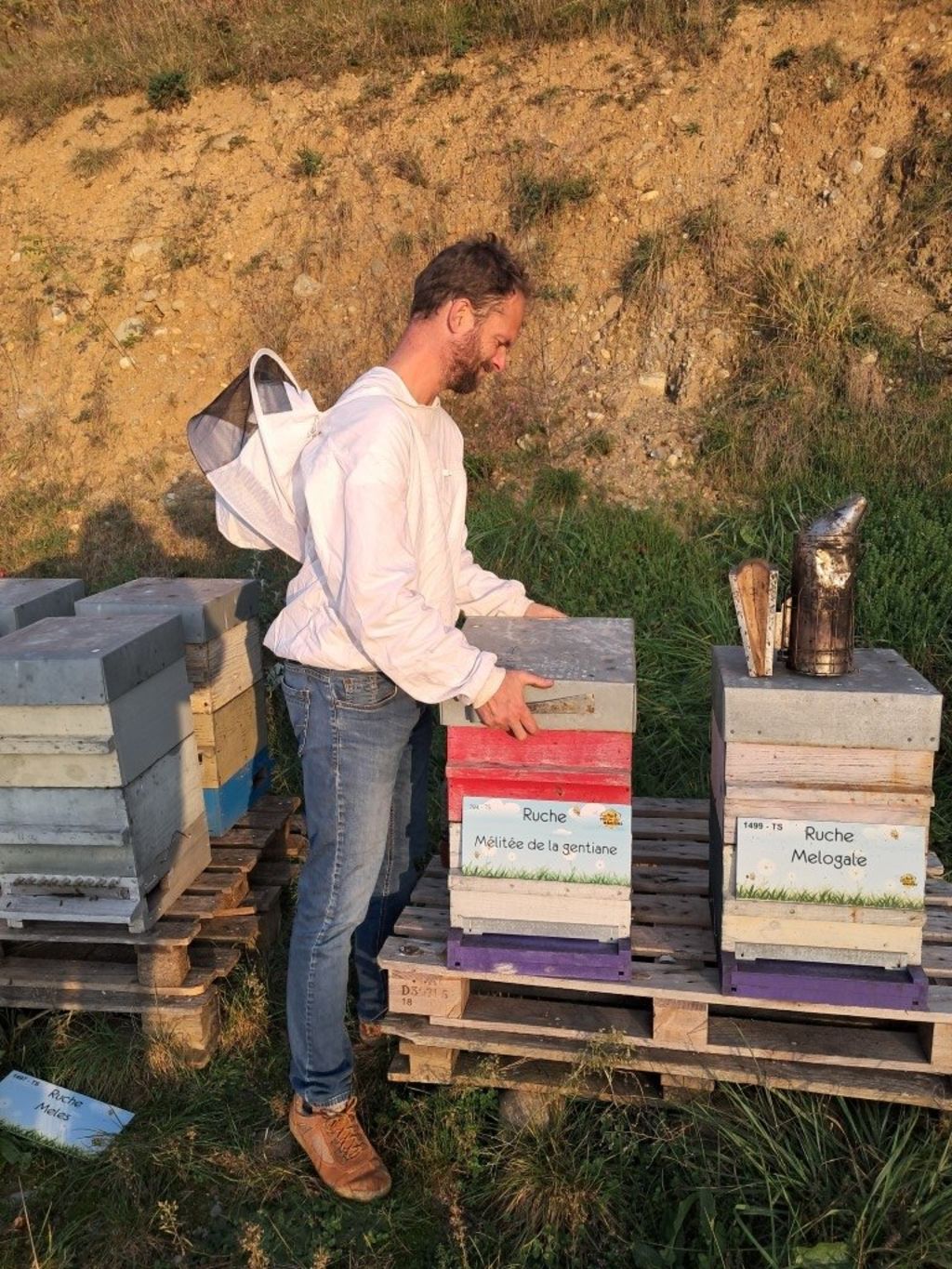 La ruche Mélitée de la gentiane