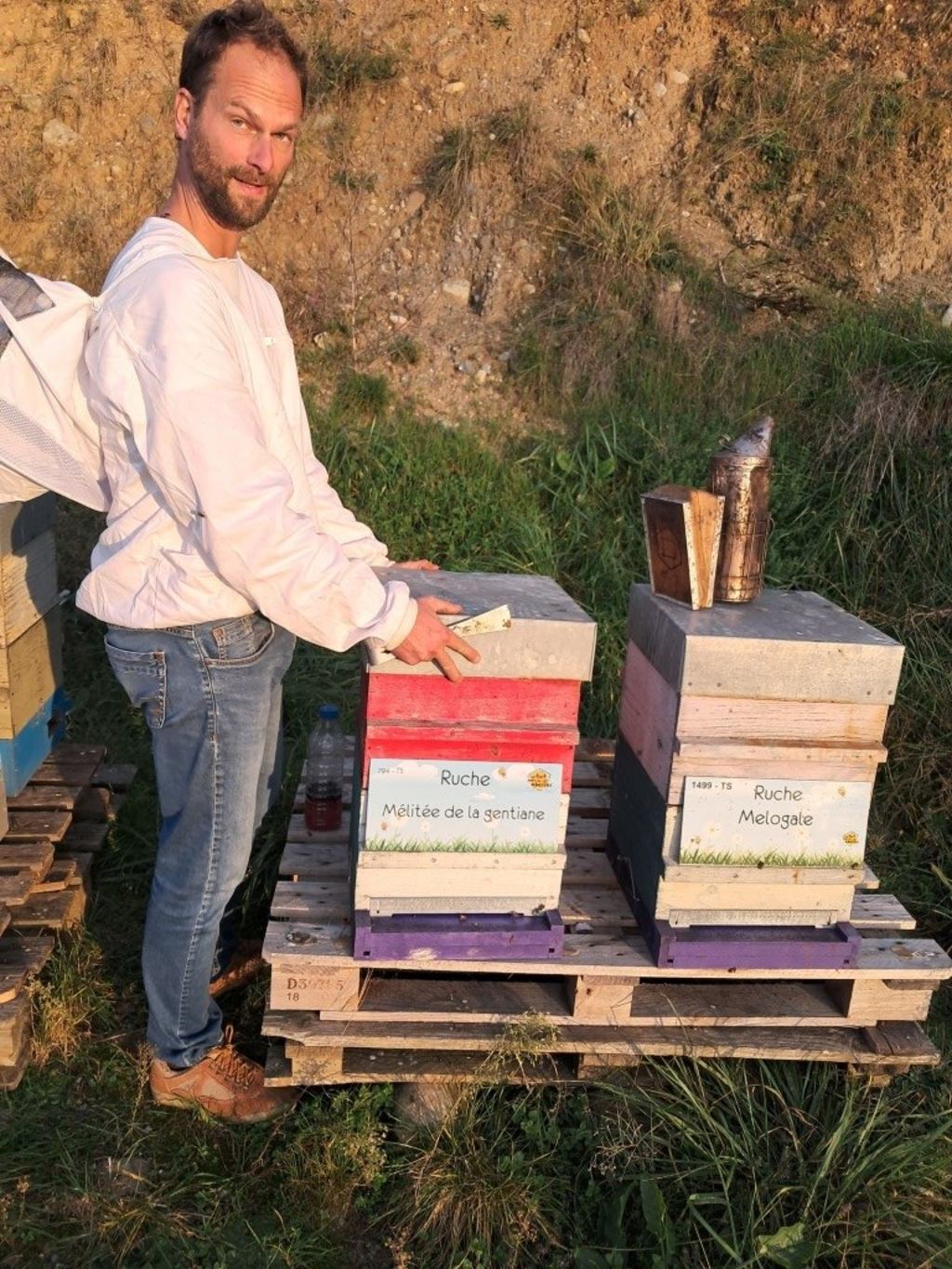 La ruche Mélitée de la gentiane