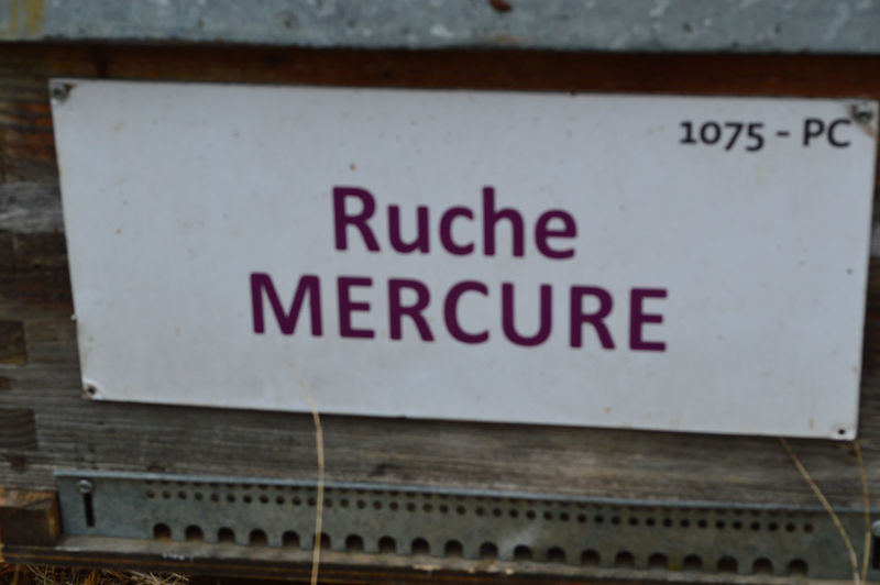 La ruche Mercure