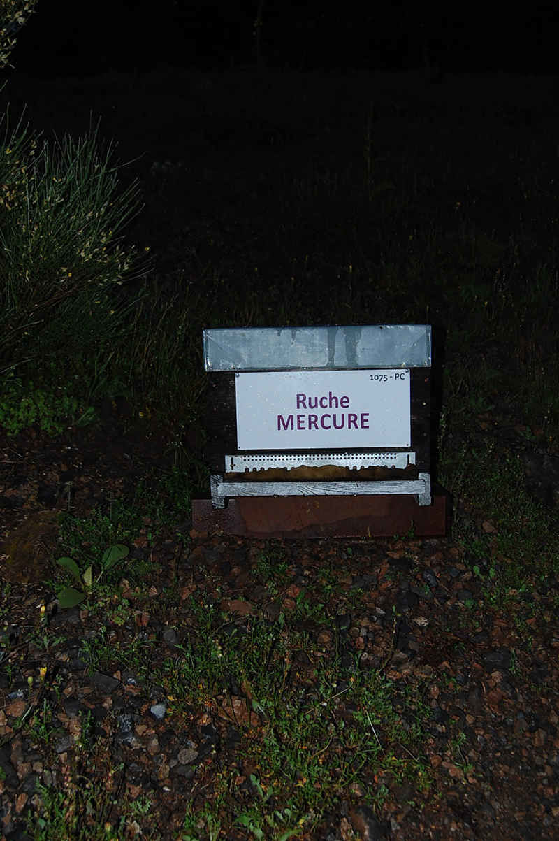 La ruche Mercure