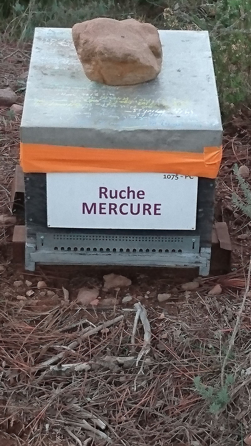 La ruche Mercure