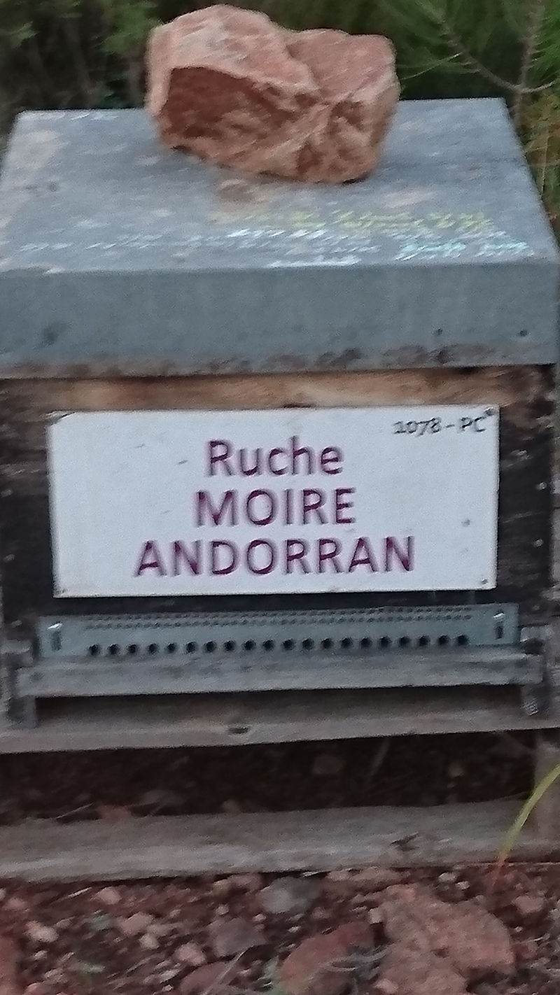 La ruche Moire andorran