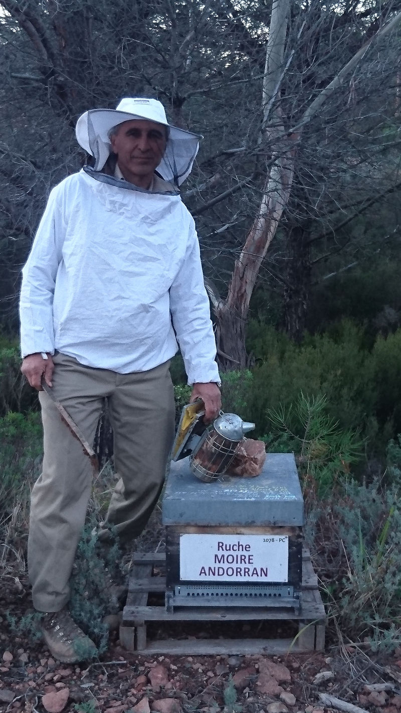 La ruche Moire andorran