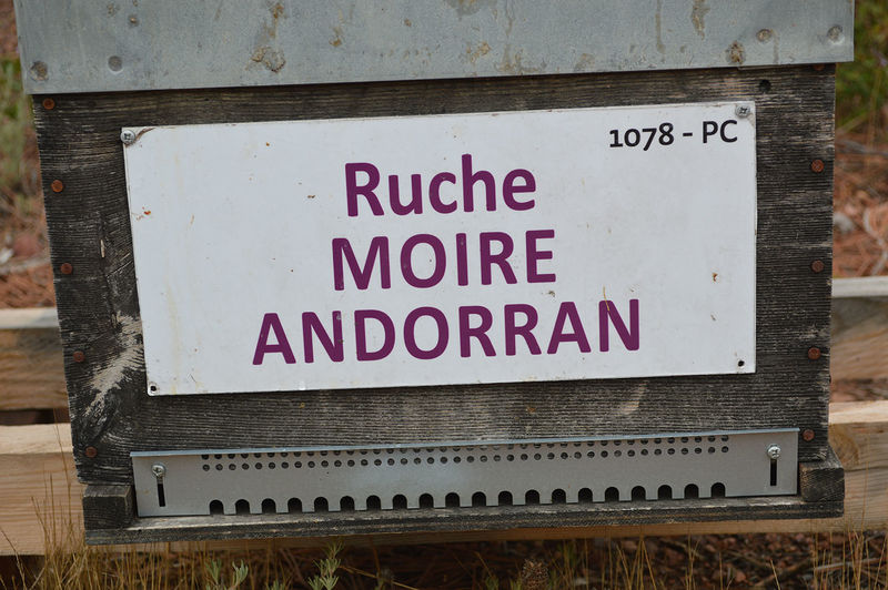 La ruche Moire andorran