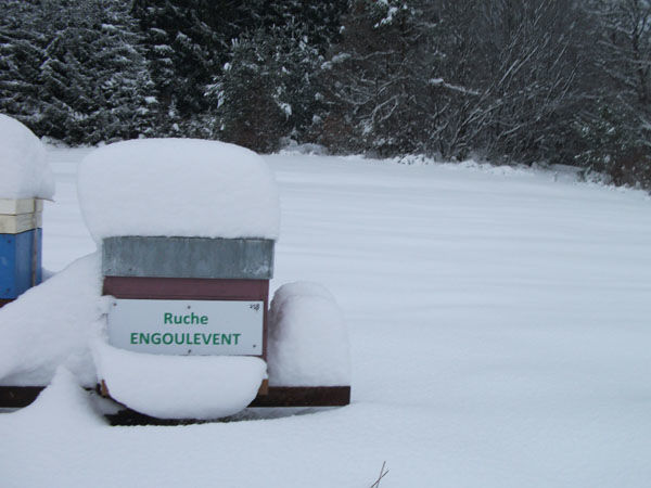La ruche Engoulevent