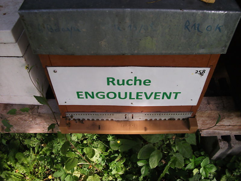 La ruche Engoulevent