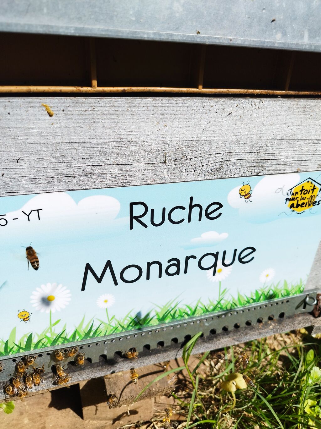 La ruche Monarque