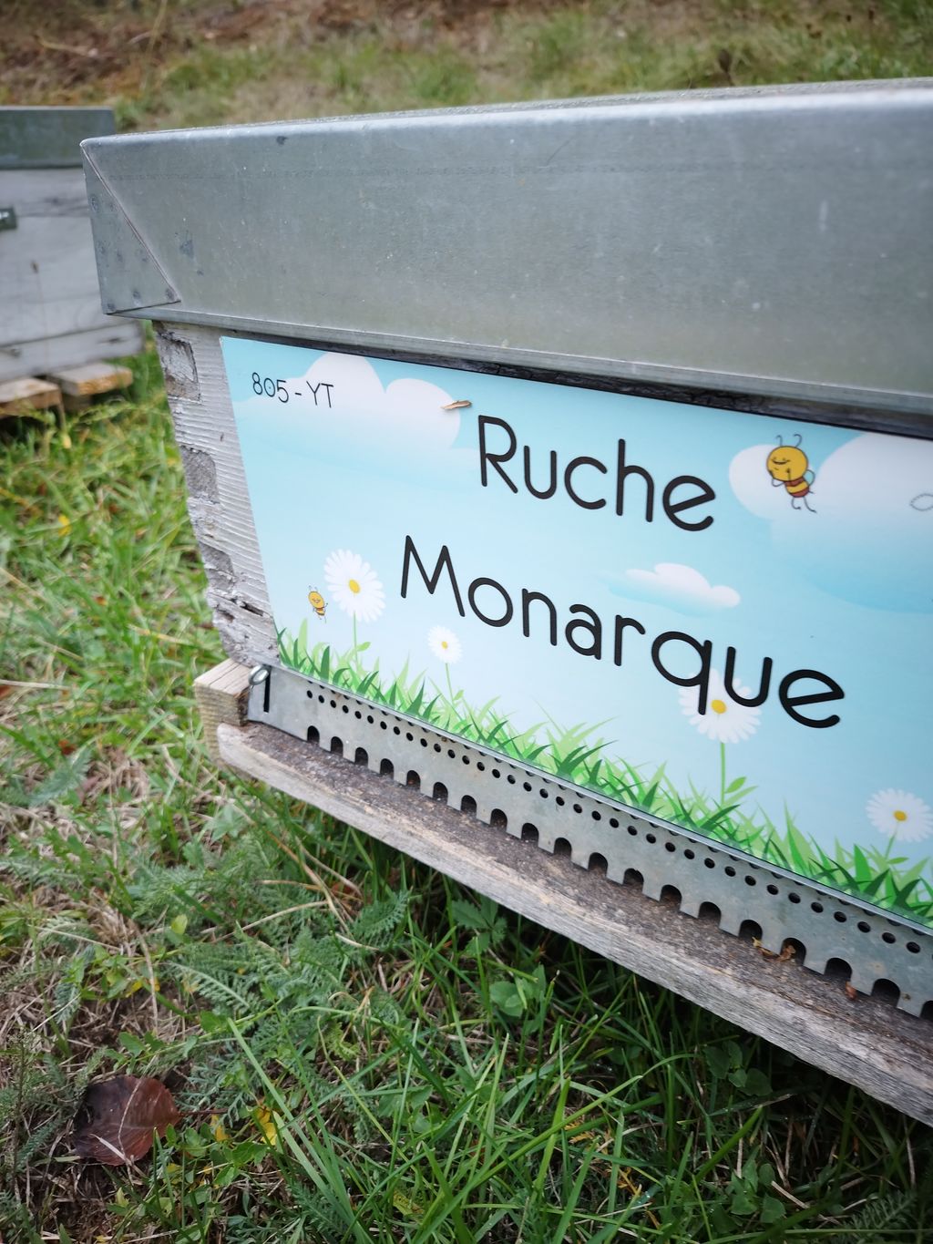 La ruche Monarque
