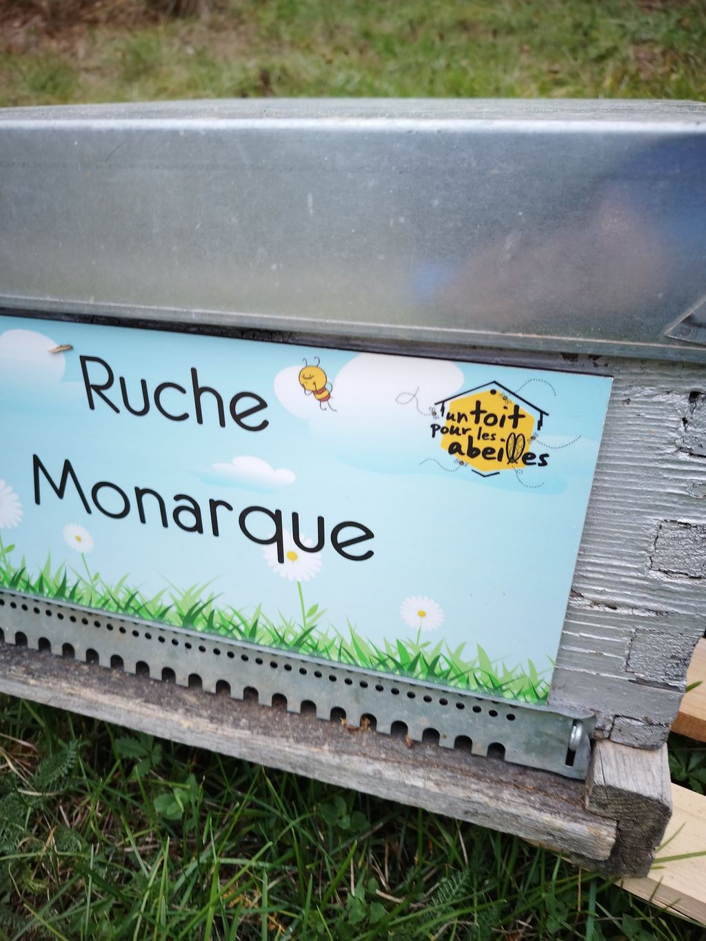 La ruche Monarque