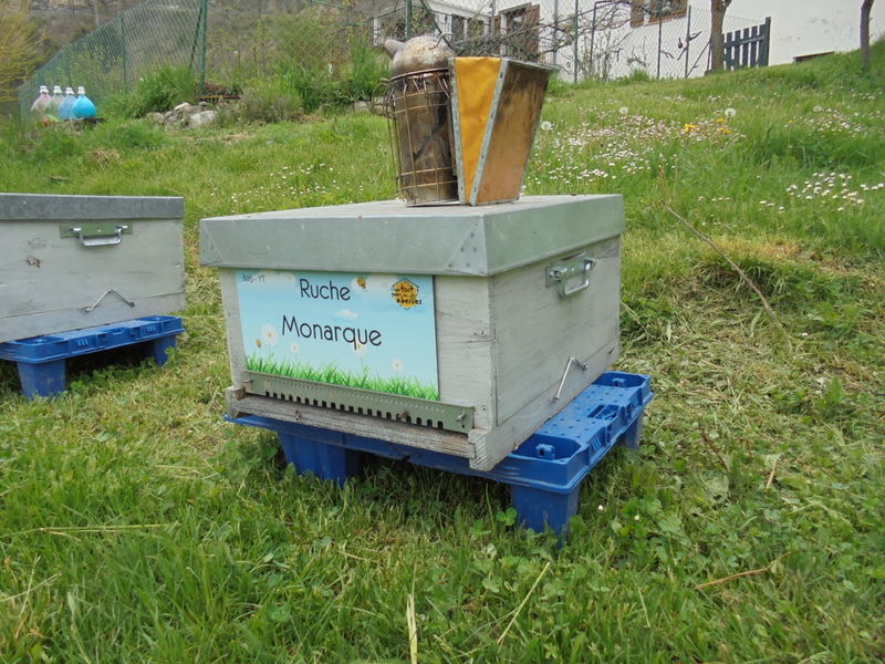 La ruche Monarque