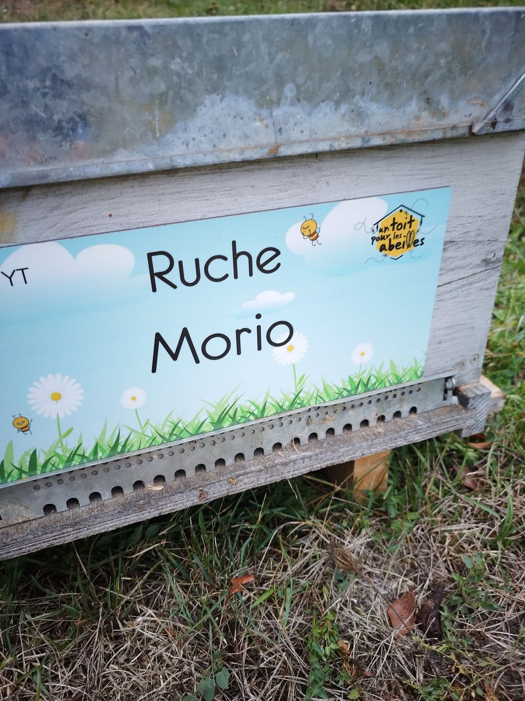 La ruche Morio