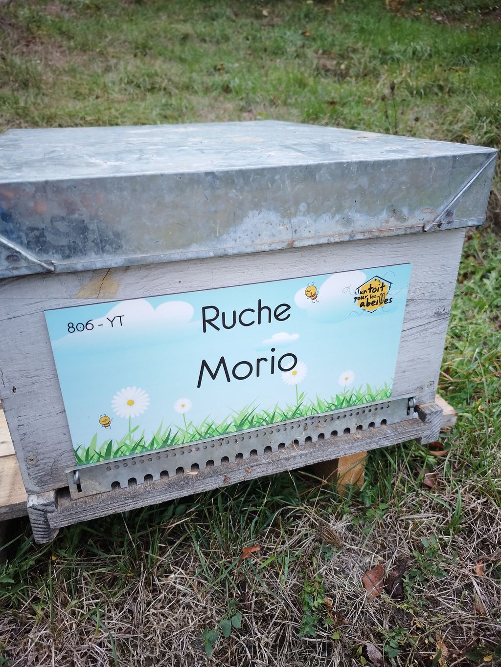 La ruche Morio