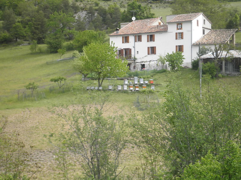 La ruche Moro sphinx