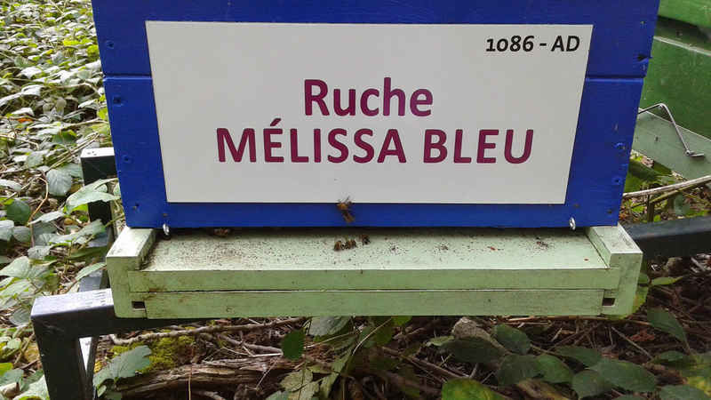 La ruche Mélissa bleu