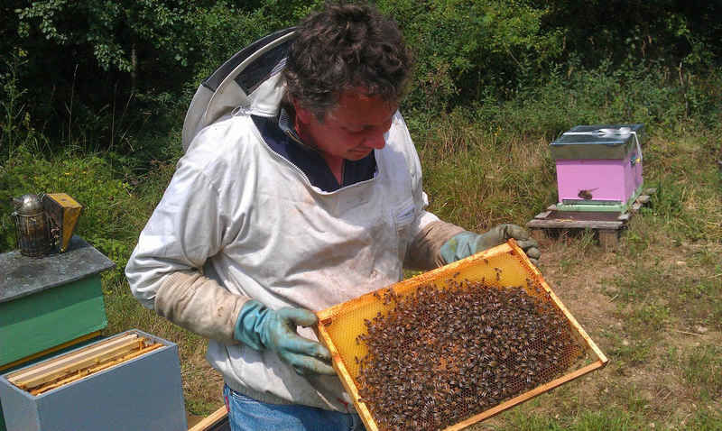 La ruche Mélissa bleu