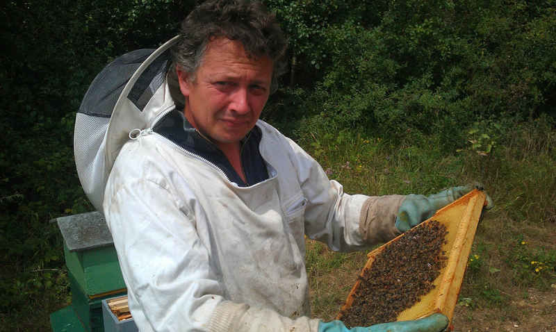 La ruche Mélissa bleu