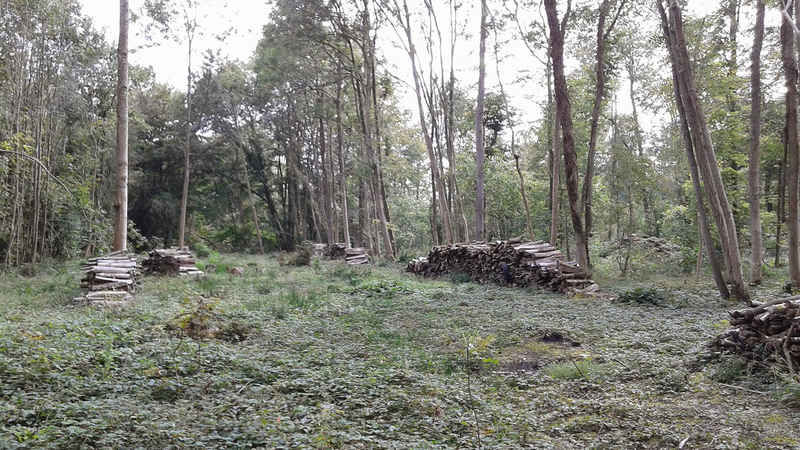 La ruche Mélissa bleu