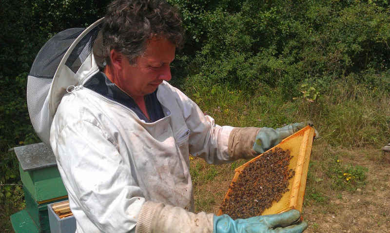 La ruche Mélissa bleu
