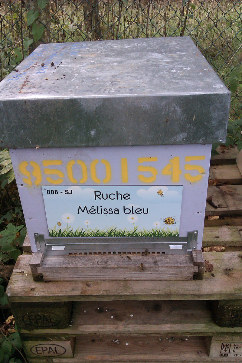 La ruche Mélissa bleu