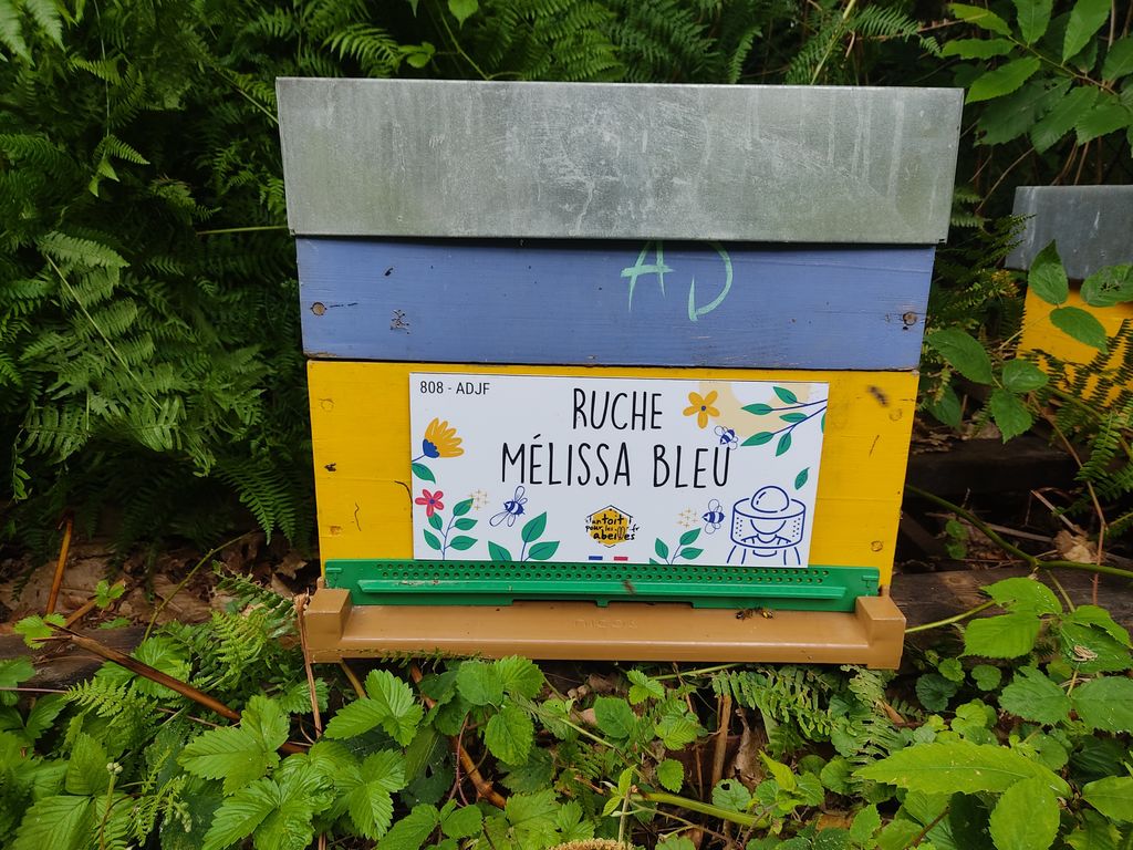 La ruche Mélissa bleu