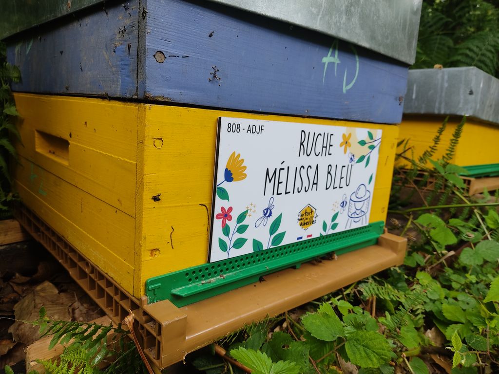 La ruche Mélissa bleu