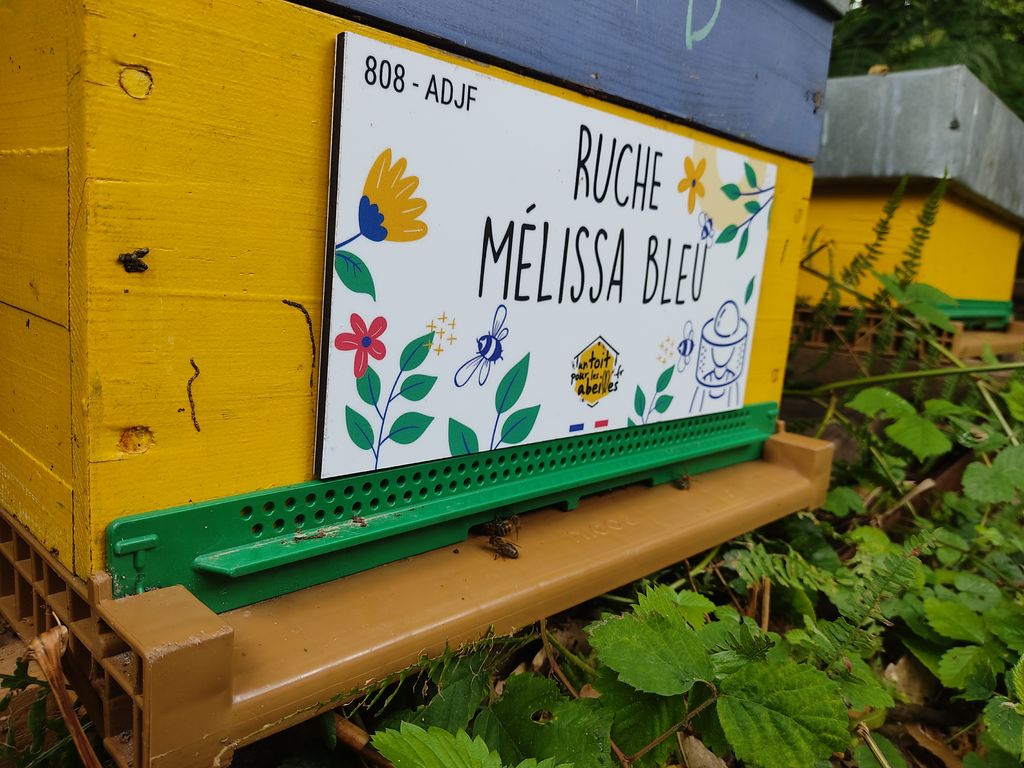 La ruche Mélissa bleu