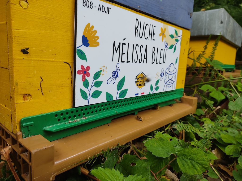 La ruche Mélissa bleu