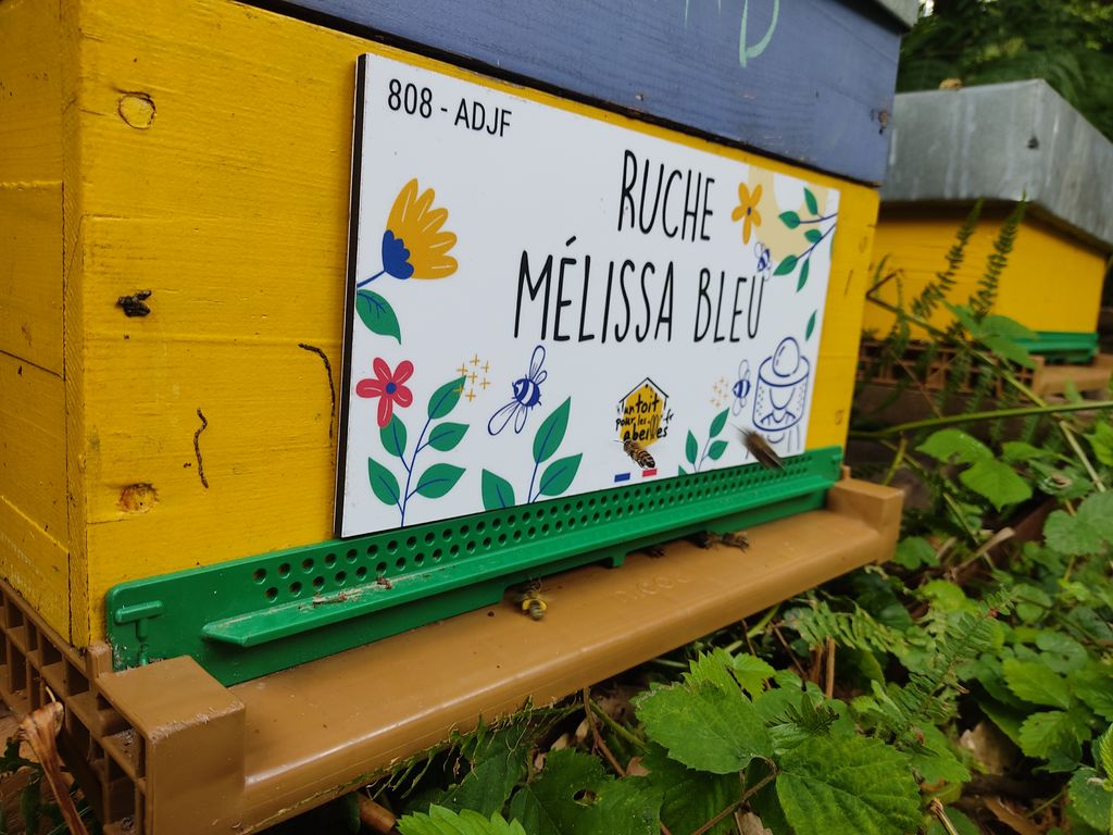 La ruche Mélissa bleu