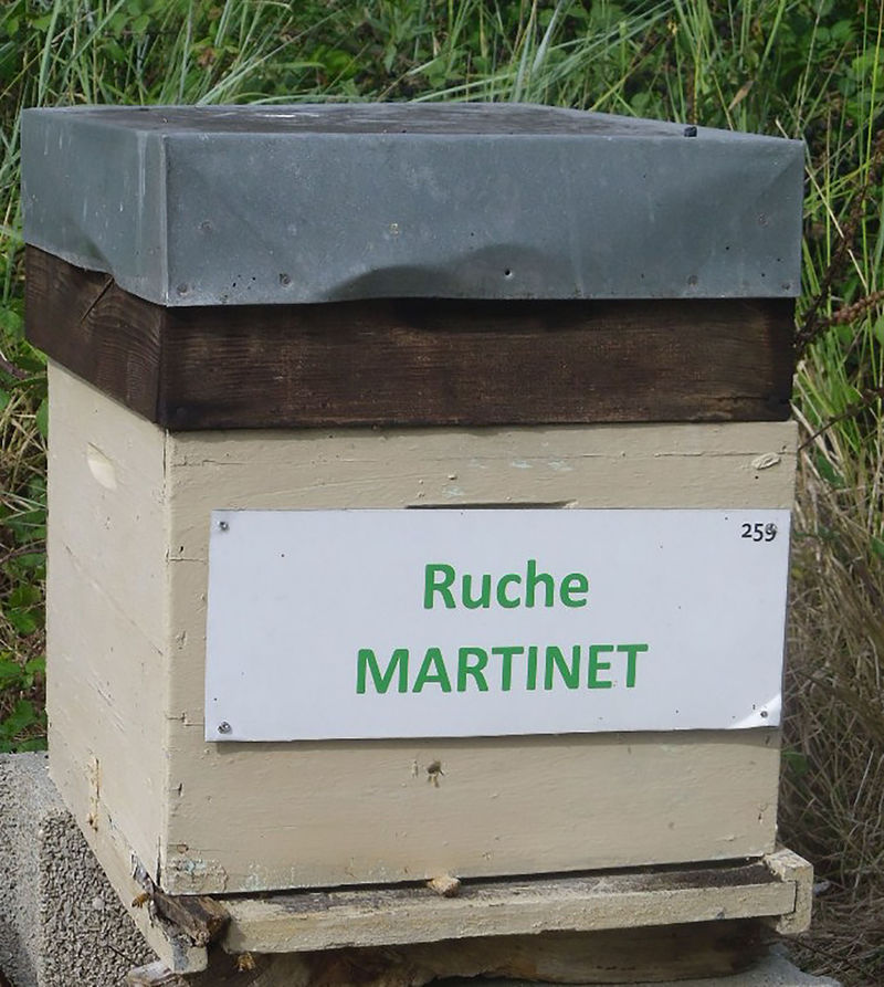 La ruche Martinet